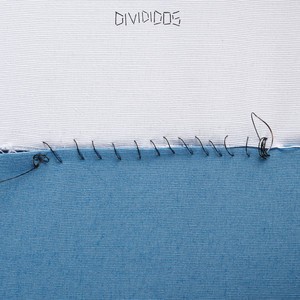 Divididos en el Movistar Arena